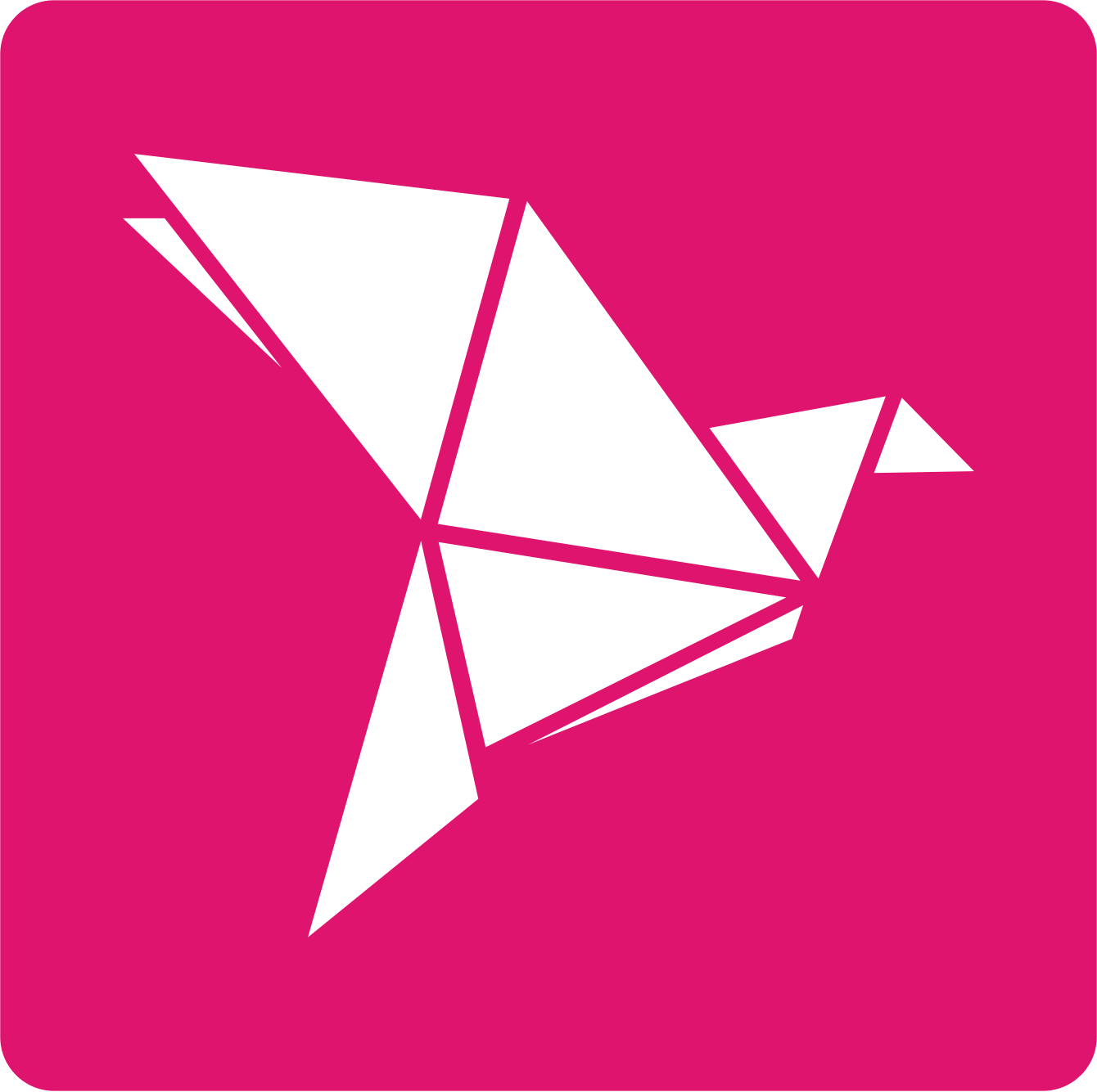 bKash Logo